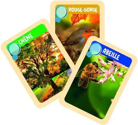 Les apprentis explorateurs, exploration naturelle pour enfant – Image 2