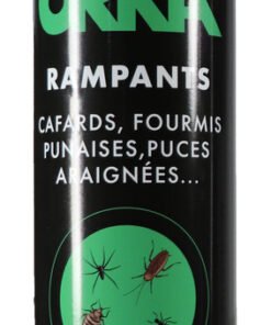 Alternative view of Insecticide Insectes Rampants Aérosol 400 ml TP18