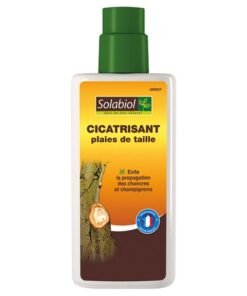 SOLABIOL Cicatrisant plaies de taille 300g