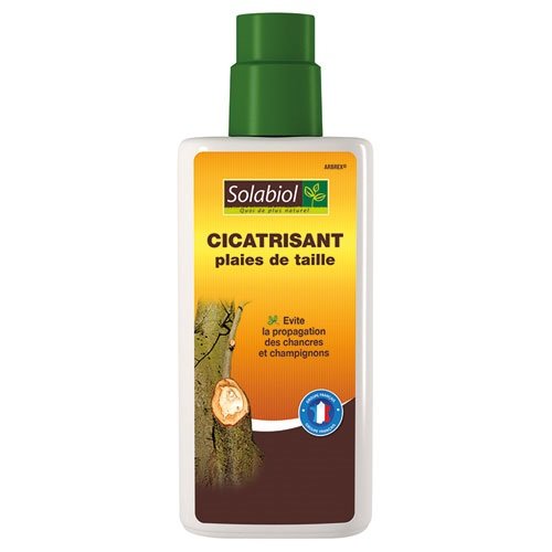 SOLABIOL Cicatrisant plaies de taille 300g