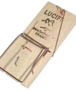 Tapette à souris LUCIFER : piège écologique et efficace sans produit toxique