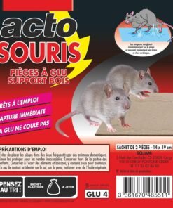 Pièges à glu ACTO souris support bois : capture efficace des nuisibles rampants