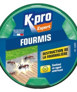 Boîte appât formicide : solution efficace pour éliminer les fourmis durablement