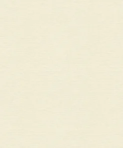Papier peint uni blanc cassé A.S. Création PintWalls III AS306881