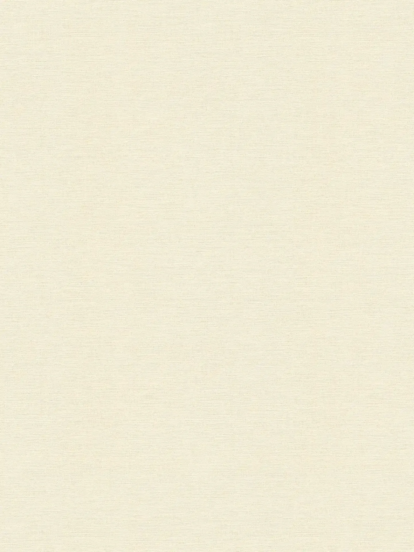Papier peint uni blanc cassé A.S. Création PintWalls III AS306881
