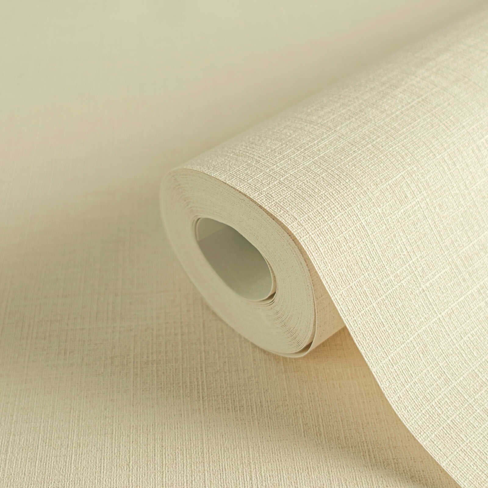 Papier peint uni blanc cassé A.S. Création PintWalls III AS306881