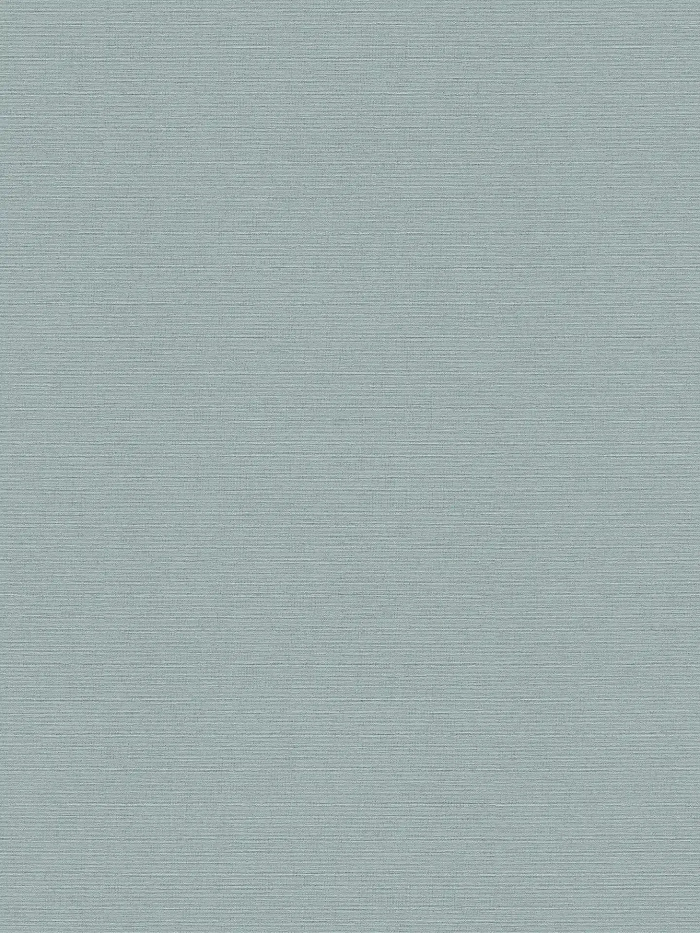 Papier peint uni bleu intissé A.S. Création PintWalls III AS306887