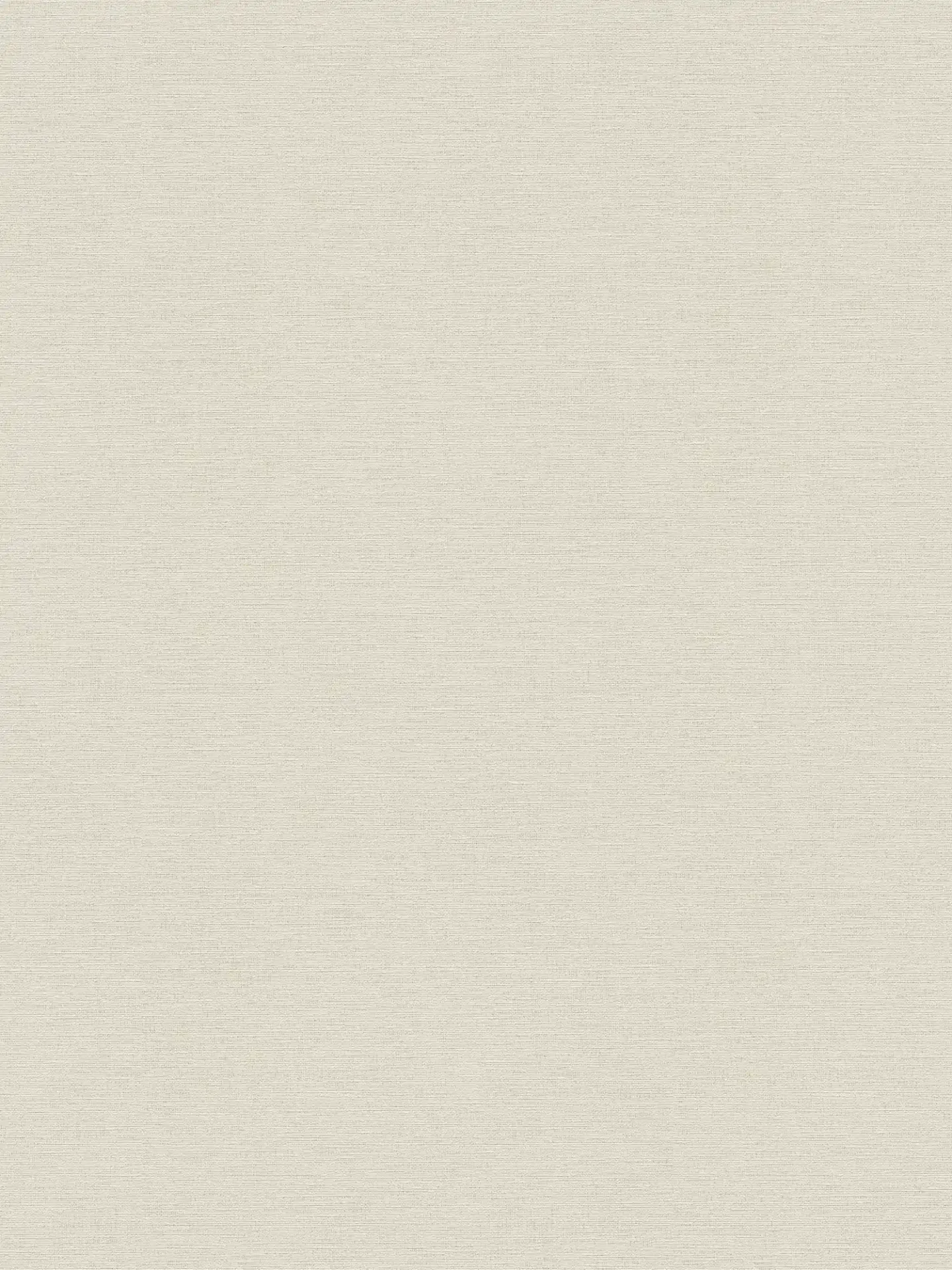 Découvrez le papier peint uni blanc intissé A.S. Création AS306889. Son aspect mat légèrement texturé illumine votre intérieur et s'adapte à tous les styles de décoration.