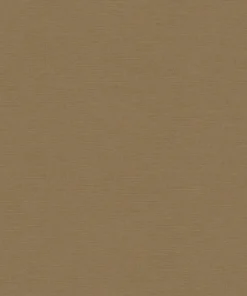 Papier peint uni brun A.S. Création PintWalls III AS306892
