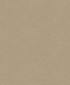 Papier peint uni gris greige intissé A.S. Création PintWalls III AS306893