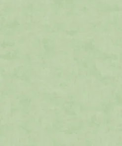 Craquez pour le papier peint uni vert sauge intissé A.S. Création AS771788. Son effet textile et sa teinte vert pastel créent une décoration douce, lumineuse et apaisante pour toute la maison.